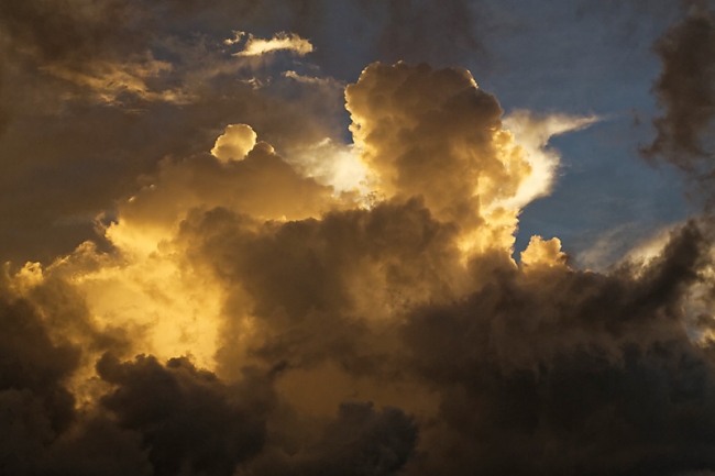 Kandy-Botanical garden-099